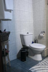 a bathroom with a white toilet and a trash can at Villa Evgenia(Leonidas) in Ierissos