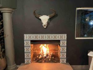 a bull skull over a fireplace with a fire place at The Minimalist Hide away in Benoni