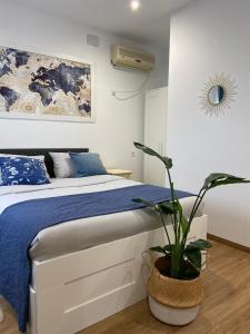 Postel nebo postele na pokoji v ubytování Hostal Orange Vibes