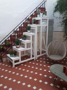 um conjunto de prateleiras brancas com vasos de plantas em The Jasmine House em Olvera