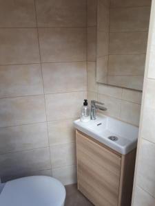 ein Badezimmer mit einem weißen Waschbecken und einem WC in der Unterkunft The Jasmine House in Olvera