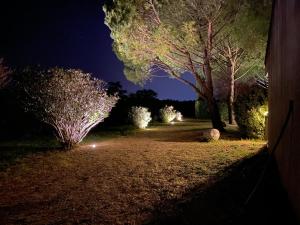 Zahrada ubytování Logis Hôtel Le Mistral - Restaurant - Montélimar Sud