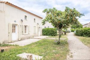 an apple tree in front of a white house at JASSE CAMARGUAISE 535 - PISCINE CLIM PARKING FAMILLE - TOP PROS SERVICESConciergerie in Gallargues-Le-Montueux