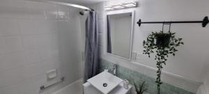 bagno bianco con lavandino e specchio di Beach Front Studio Miami Beach a Miami Beach