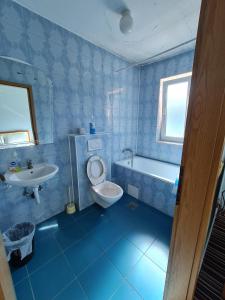 a blue bathroom with a toilet and a sink at Holiday in Ferizaj