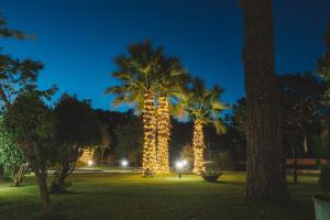 a park with palm trees lit up at night at B&B Blanc Maison Etna Relais & Charme in Nicolosi