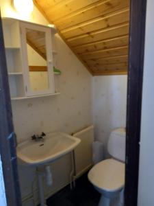łazienka z umywalką i toaletą w obiekcie Arvika, Centralt w mieście Arvika