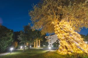 a tree decorated with lights in a park at night at B&B Blanc Maison Etna Relais & Charme in Nicolosi