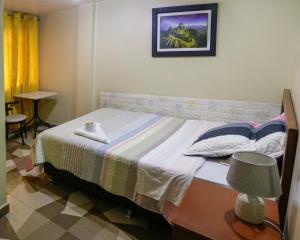 瓦拉斯的住宿－Hotel Los Andes Boutique，一间卧室配有一张床和一张带台灯的桌子