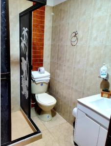 een badkamer met een toilet en een wastafel bij Espléndido apto completo en el centro de Pereira in Pereira