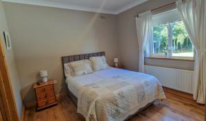 1 dormitorio con cama y ventana en LittleField B&B Durrow, Laois, en Durrow