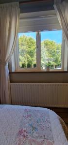 1 dormitorio con cama y ventana en LittleField B&B Durrow, Laois, en Durrow