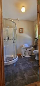 y baño con ducha y aseo. en LittleField B&B Durrow, Laois en Durrow