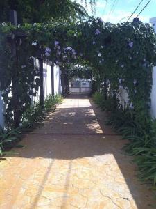 Zahrada ubytování Playa Juan Dolio, RD-Acceso Privado A La Playa Justo Al Frente En 1ra Línea, Áreas Sociales, BBQ, Piscina, Gazebos-Parqueo-Wifi-Netflix-Al Lado De Minimarket, Restaurantes, Bares, Tiendas, Clubes de Playa, Campos De Golf, Bancos Comerciales y más