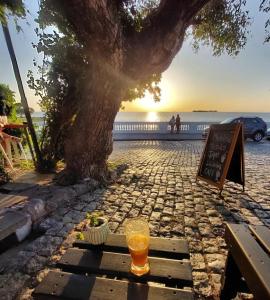 科洛尼亞－德爾薩克拉門托的住宿－La Estancia hostel，坐在树下桌子上的一杯啤酒
