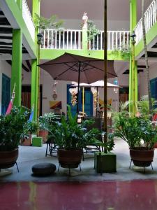 Hostel La Casona 1859 في غوادواس: فناء بالنباتات ومظلة في مبنى