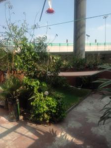 un jardín en medio de un edificio en Cuarto en Polanco solo hombres, en Ciudad de México