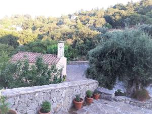 Fotografia z galérie ubytovania Koukos House surrounded by nature v destinácii Frés