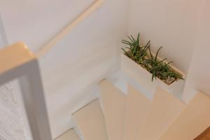 a plant on a white wall in a room at Loft con mucha luz en el centro Barrio Ruzafa in Valencia