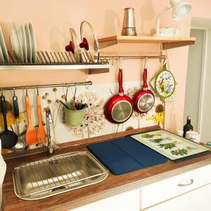 encimera con fregadero y utensilios de cocina en La Casetta di Alice en Villalago