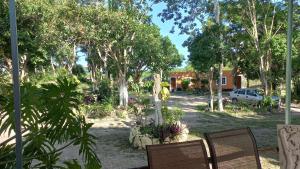 a yard with two chairs and trees and a house at Otoch B&eacute;ek Calakmul in Chicanna