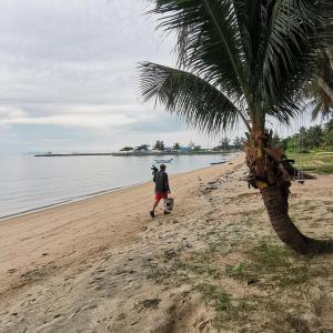 班泰的住宿－Anodash Homestay，棕榈树旁的海滩上散步的男人