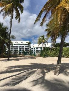 un hôtel sur la plage avec des palmiers au premier plan dans l'établissement Studio Cosy, Accès Plage, au Gosier