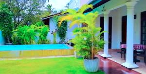 a palm tree in a yard next to a swimming pool at Villa Comfort in Hikkaduwa