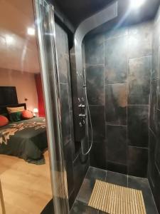 um chuveiro num quarto com uma cama em Le Paul Chandon Centre-ville 4 pers em Épernay