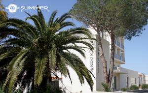 Gallery image of Summertime Hotel in Càbras
