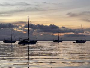 een groep boten in het water bij zonsondergang bij Villa AMAYA in Bocas del Toro