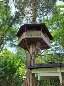 une cabane dans les arbres au milieu d'un arbre dans l'établissement Green Tree House Villa Ubud, à Ubud