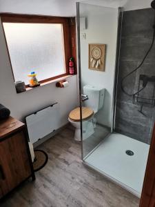 a bathroom with a toilet and a glass shower at _Linstant_zen_ in Saint-Just