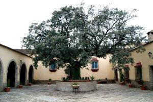 un gran árbol en un patio junto a un edificio en DEHESA LAS BRIDAS, SL, en Morón de la Frontera