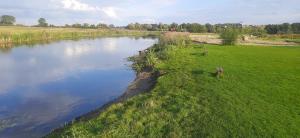 Fotografie z fotogalerie ubytování POLE NAMIOTOWE nad rzeką BIEBRZA w GONIĄDZU v destinaci Goniadz