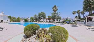 a swimming pool in a resort with bushes at STAY Symphony Apartment in Protaras
