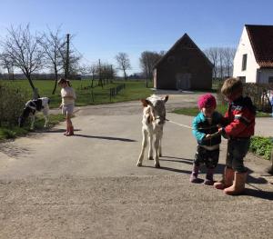 Hosté ubytování De Grote Linde