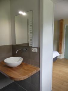 a bathroom with a sink and a mirror at Het Zilte in Zuidzande