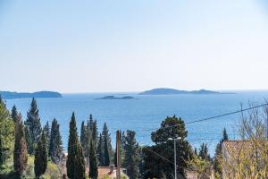 a view of a large body of water with trees at Apartments Blažević in Mlini