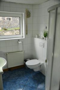 ショッテンにあるFerienwohnung auf dem Pferdehofのバスルーム(トイレ、洗面台付)、窓が備わります。