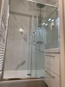 y baño con ducha y puerta de cristal. en Appartement chaleureux, en Dijon