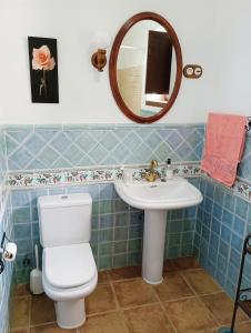 uma casa de banho com um WC, um lavatório e um espelho. em Casa rural Carratraca Finca Los viñazos em Carratraca