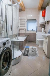 a bathroom with a shower and a washing machine at Beskidzki Klimat Jaśliska in Jaśliska