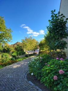 a cobblestone walk way with flowers and a tree at Het Zilte in Zuidzande