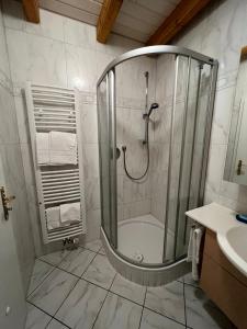 W łazience znajduje się prysznic i umywalka. w obiekcie Glattbacher Hof w mieście Lindenfels