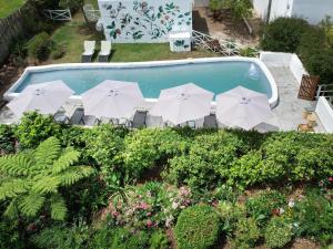 an aerial view of a pool with umbrellas and chairs at Greyton Lodge in Greyton