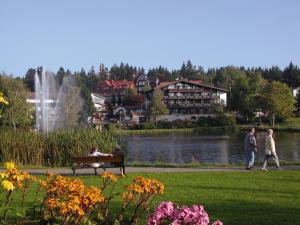 a group of people sitting on a park bench near a lake at Hotels am Kranichsee in Hahnenklee-Bockswiese