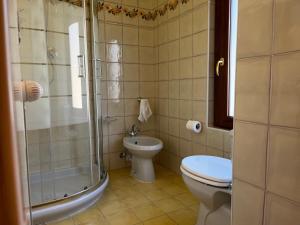 y baño con ducha, aseo y lavamanos. en Dimora Ossolana, en Domodossola
