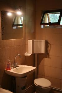 y baño con aseo, lavabo y espejo. en Sat Balcesti-Belis en Beliş