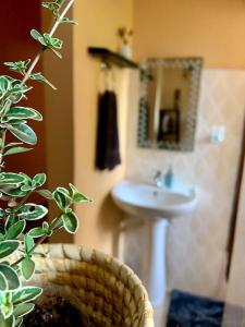 baño con lavabo, espejo y planta en Bungalow x Garten & Terrasse x WLAN x europäisch, en Moshi